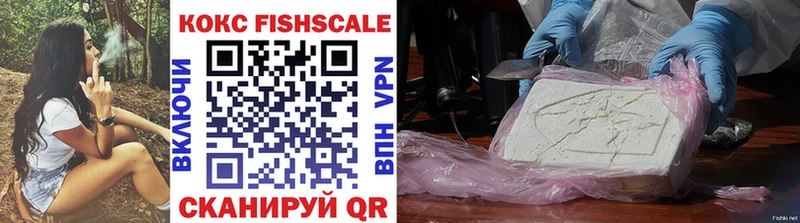 Кокаин Fish Scale  Купить где  Нязепетровск 